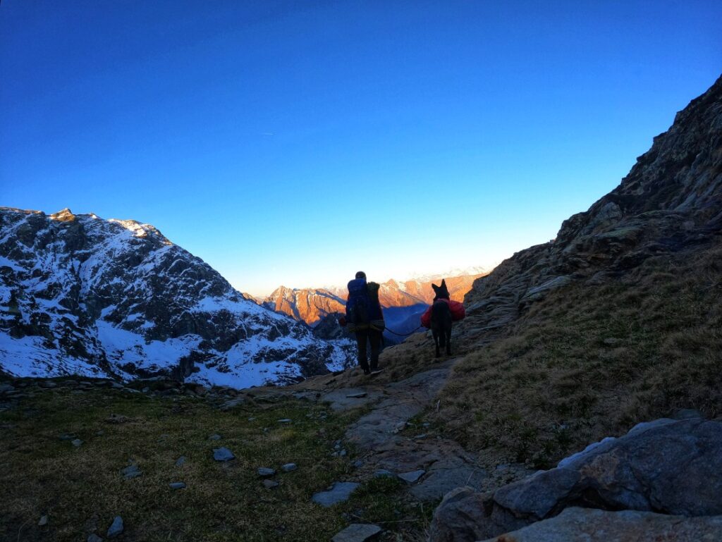 Alpenglühen...