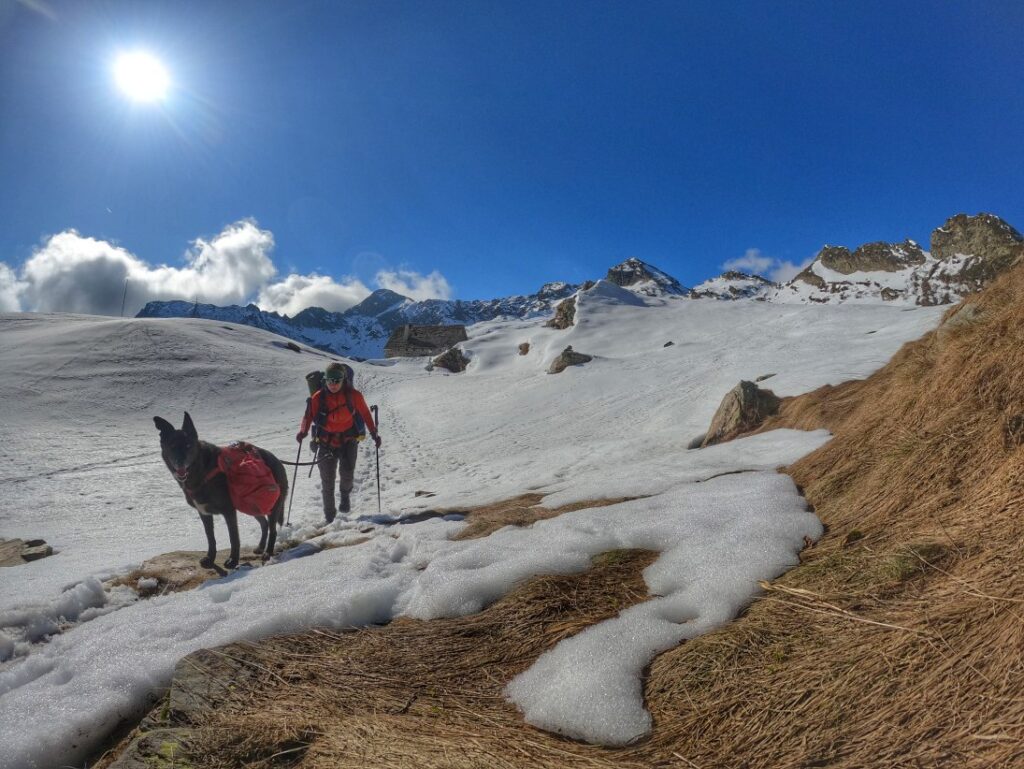 Wunderschönes, wildes Piemont - Trekking mit Hund im Val Grande