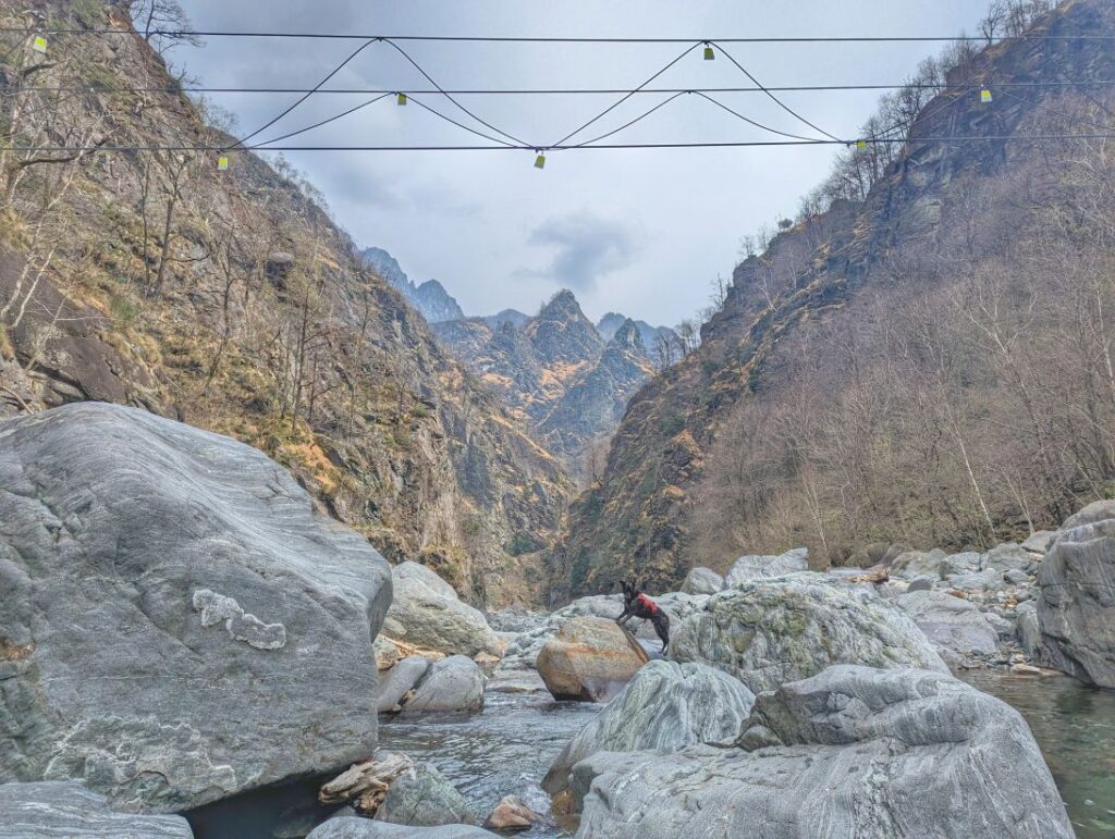 Drahtsteilbrücke auf dem Selvaggio Verde