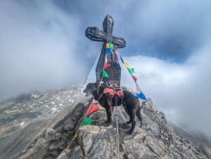 Bike & Hike: Vordere Kendlspitze mit Hund (3085 m)