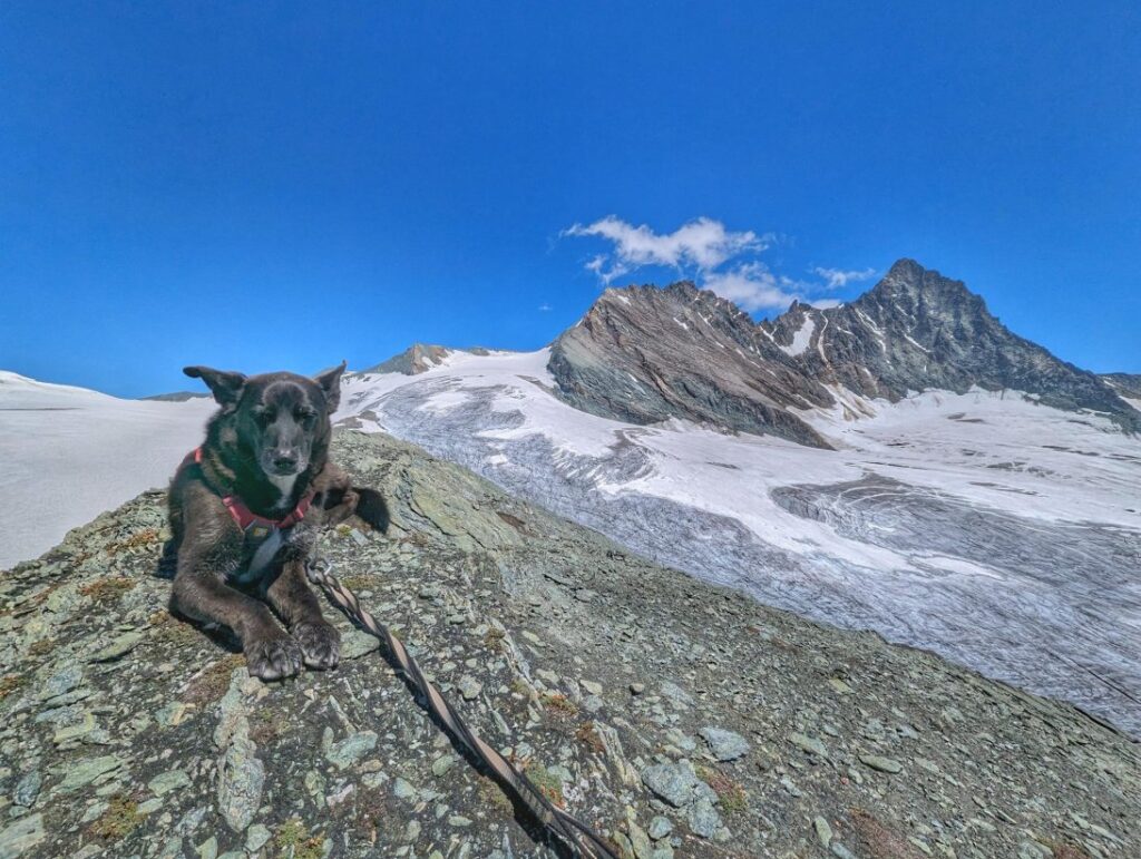 Mittagspause vorm Groß Glockner