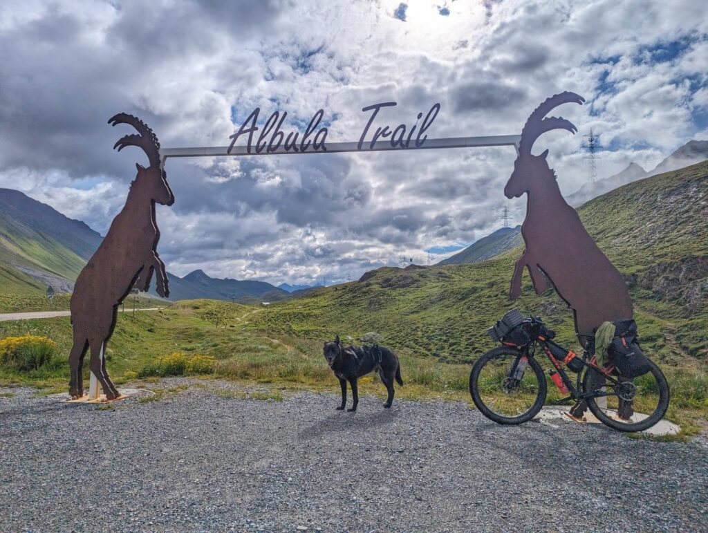 Albula Bike Trail