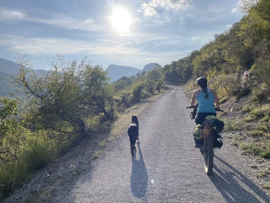 Der Sonne entgegen