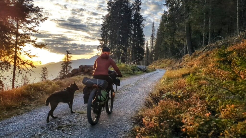 Sonnenaufgang im bunten Herbstwald