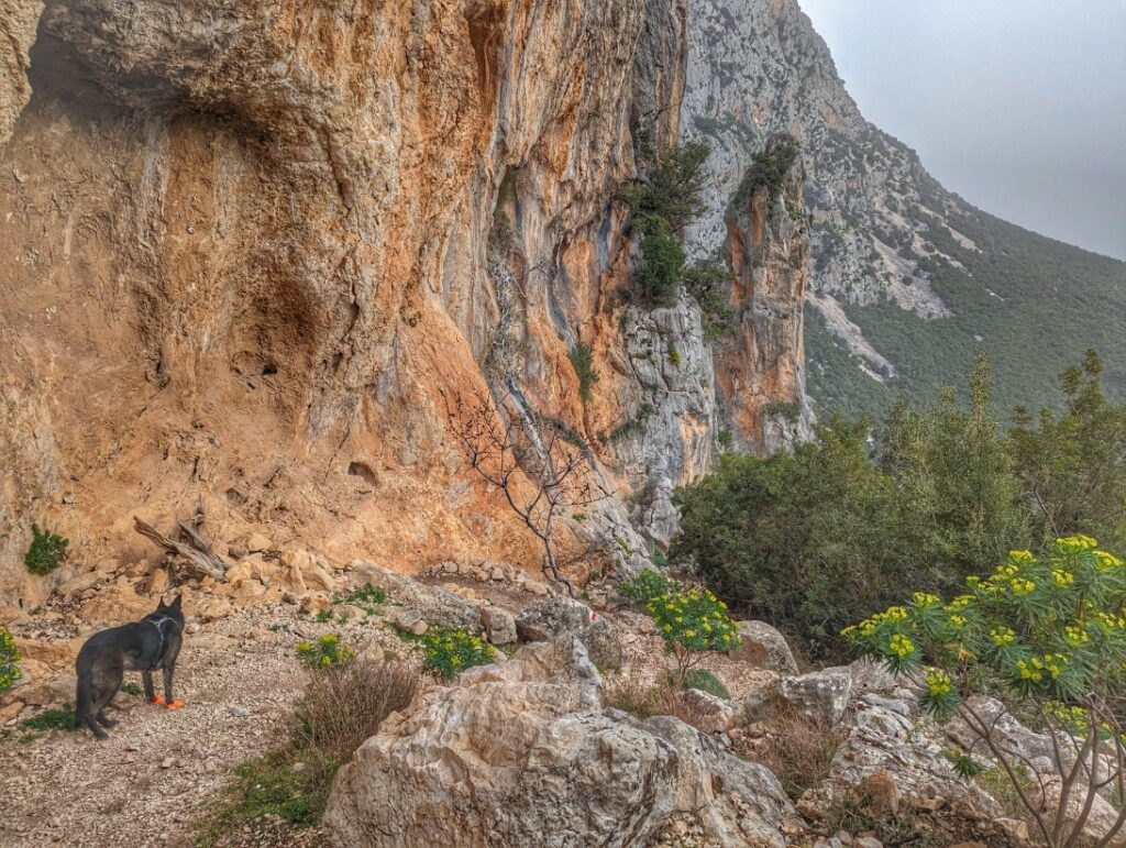 Gorropu Schlucht mit dem Bike