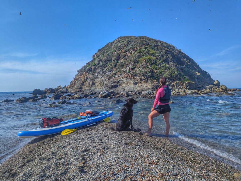 Standuppaddeln mit Hund auf Elba