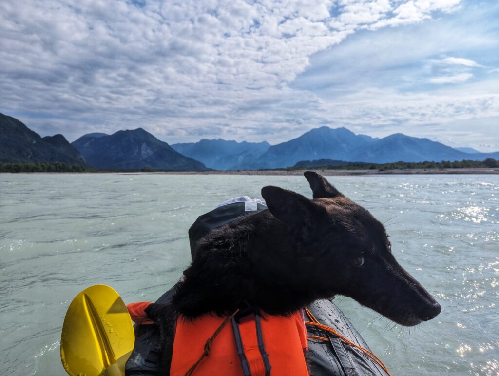 Paddeln mit Hund Tagliamento