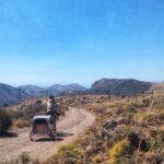 Transnevada - Bikepacking mit Hund
