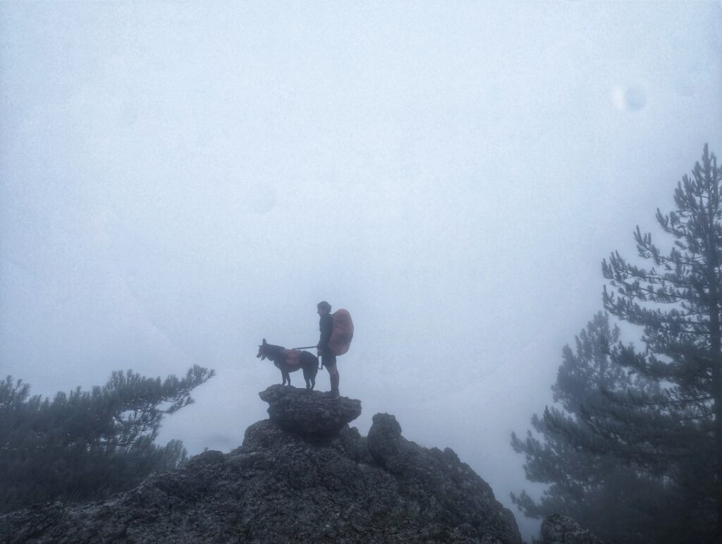 Whiteout