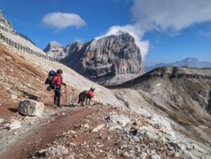 Trekking mit Hund – Dolomiten Höhenweg 1