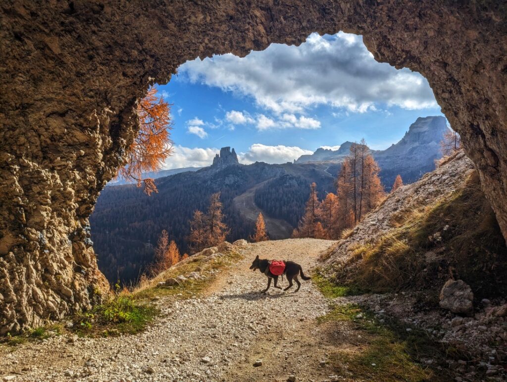 Blick zu Averau und Cinque Torri